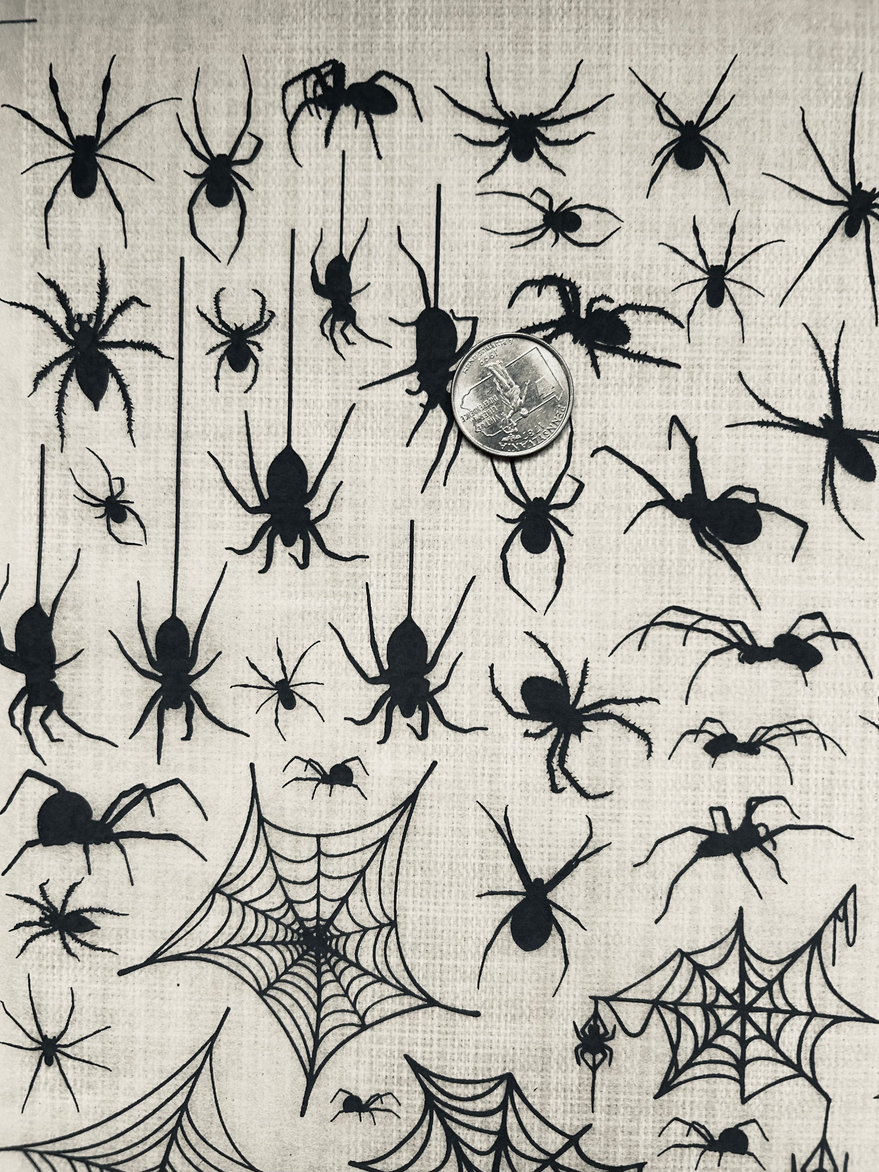Spiders - Underglaze Transfer Sheet