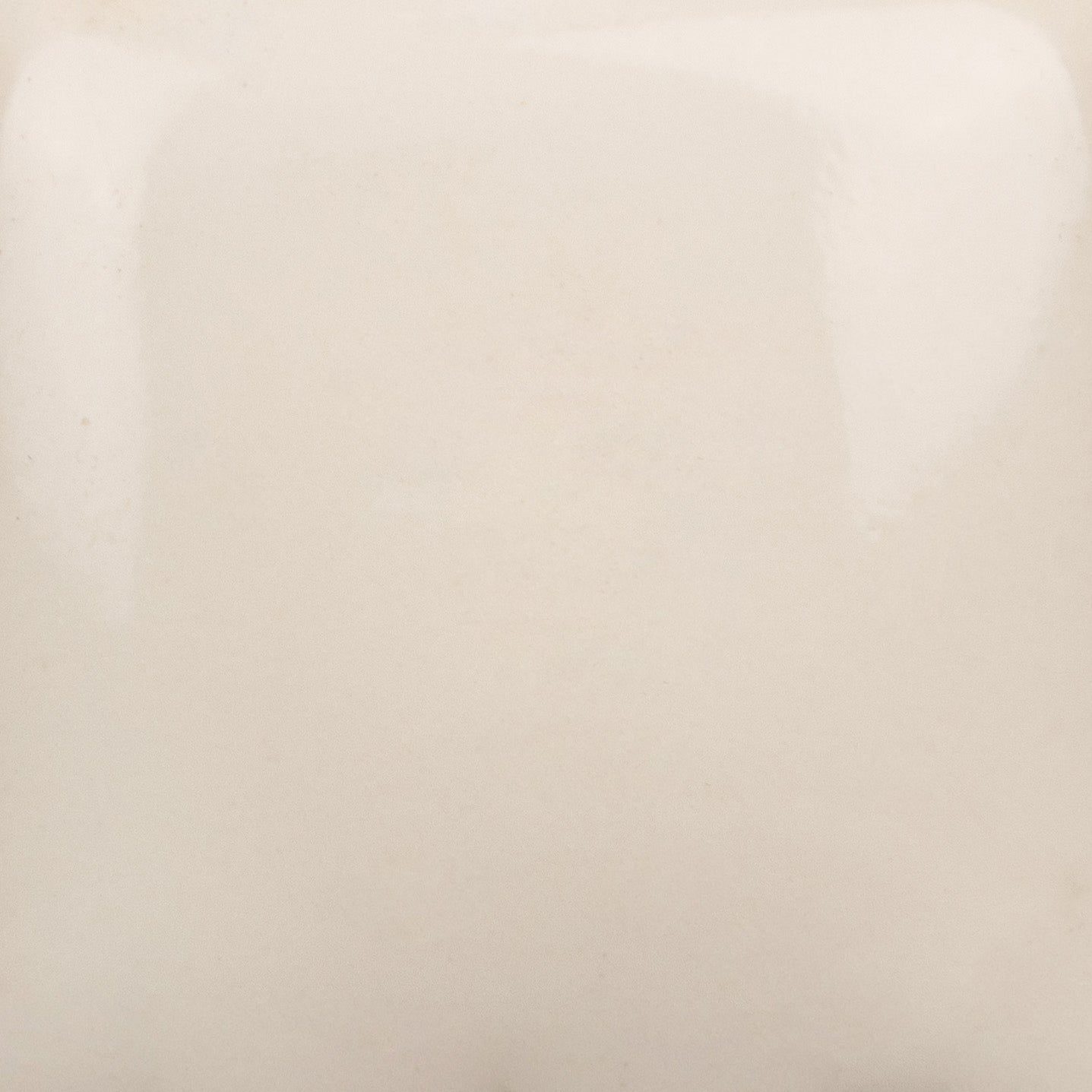 Cotton Tail