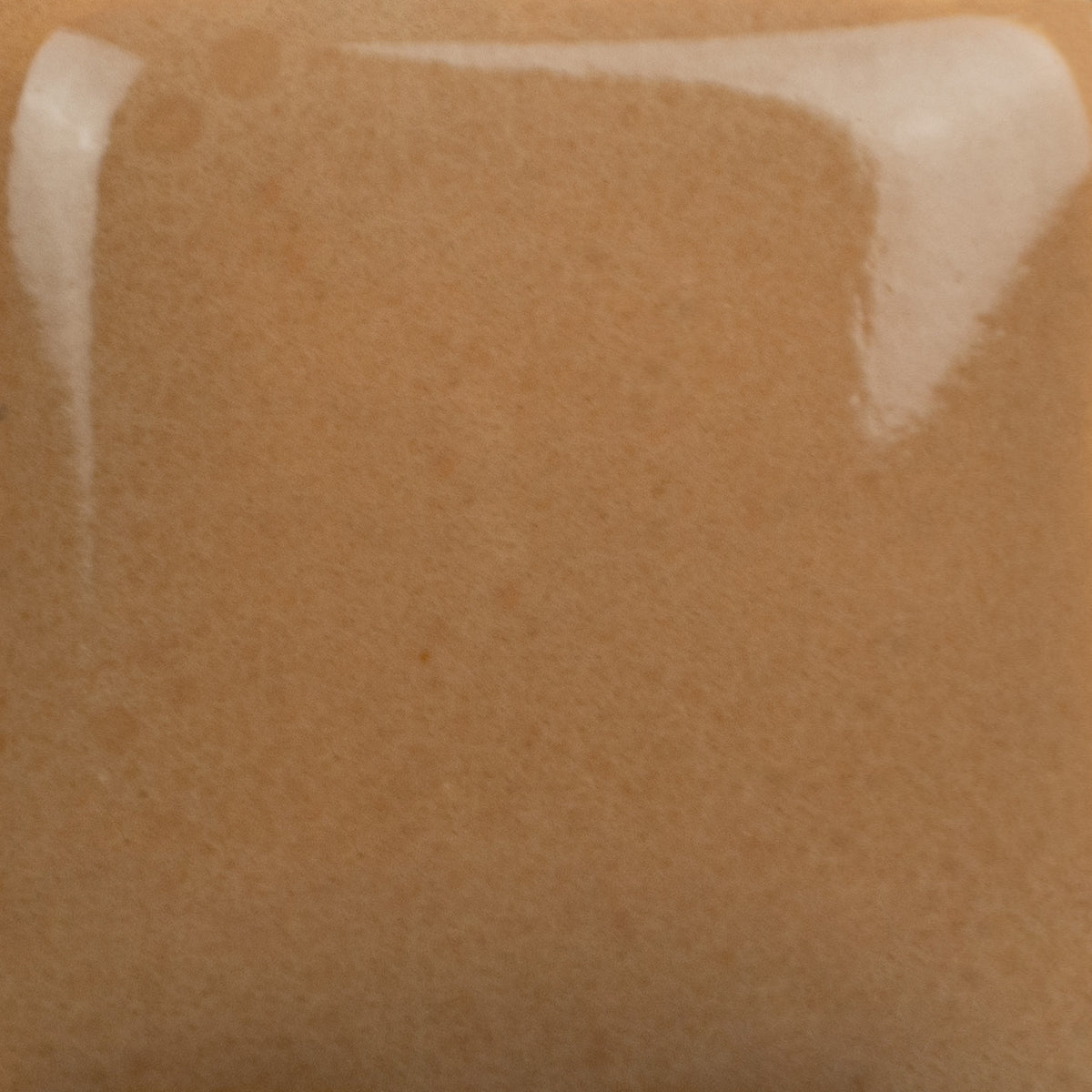 Brown Cow