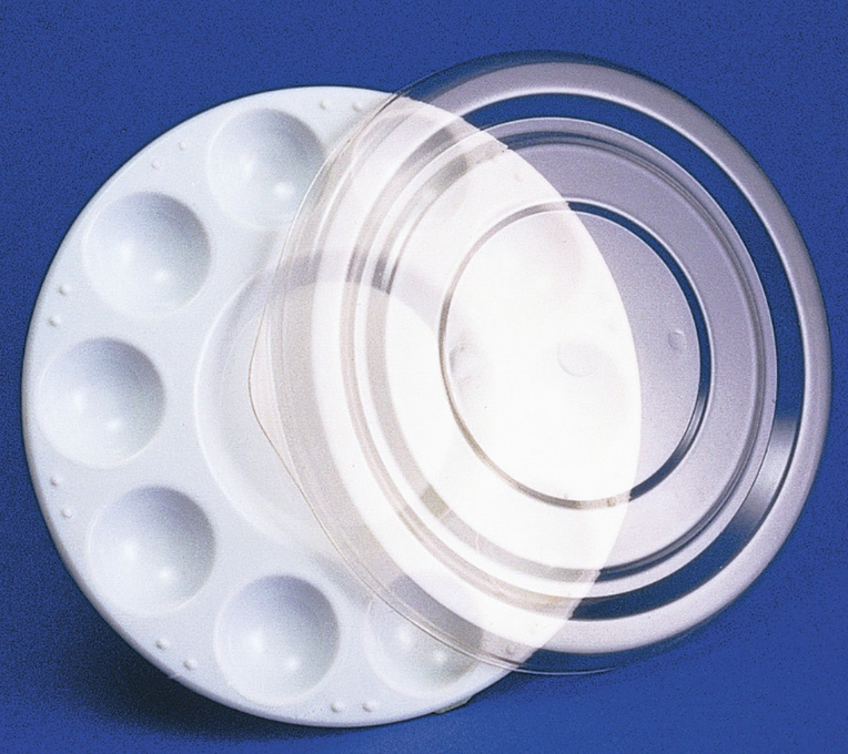 Paint Trays