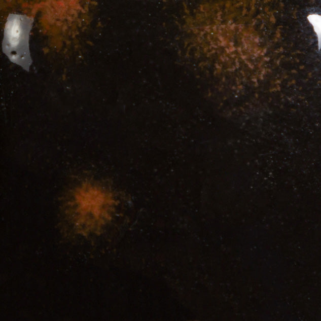 Black Opal