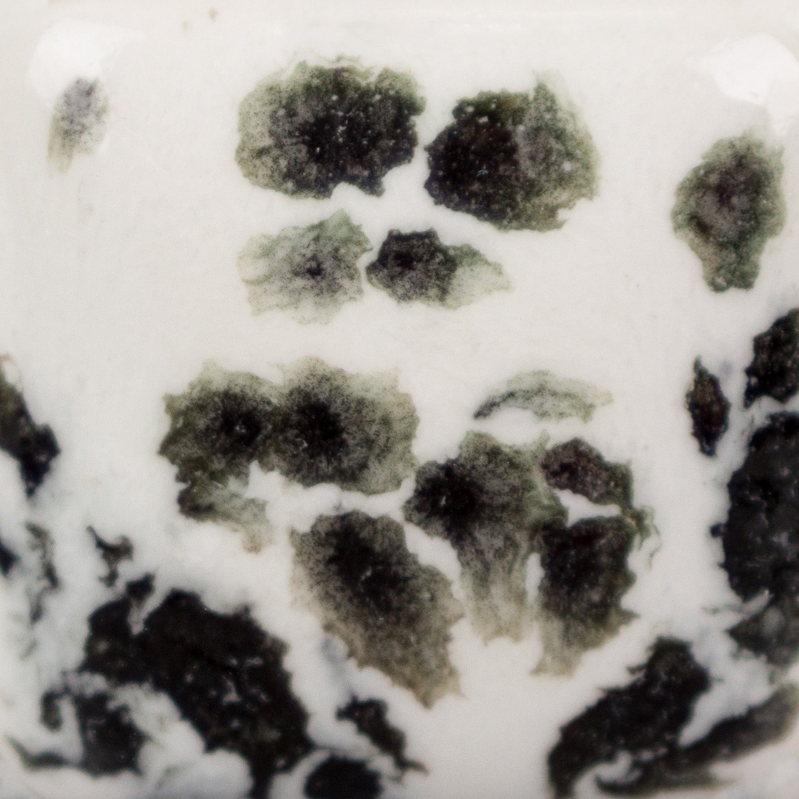 Ink Spots