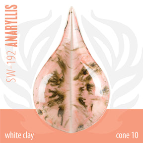 Amaryllis