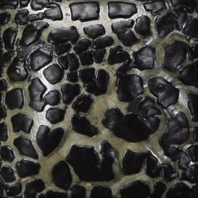 Black Mudcrack