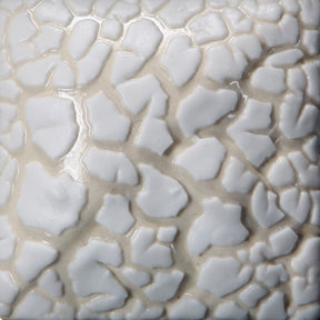 White Mudcrack