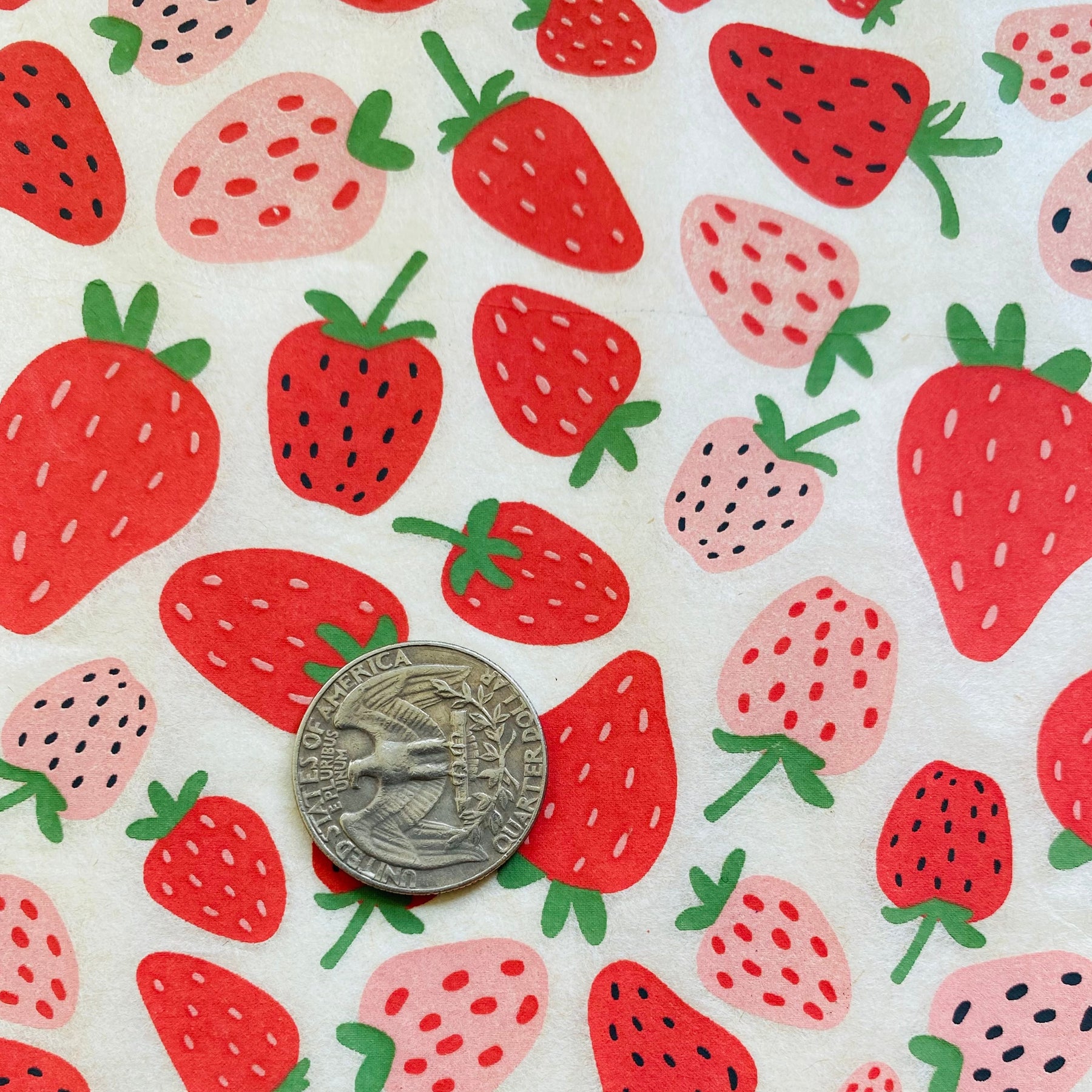 Strawberries - Underglaze Transfer Sheet