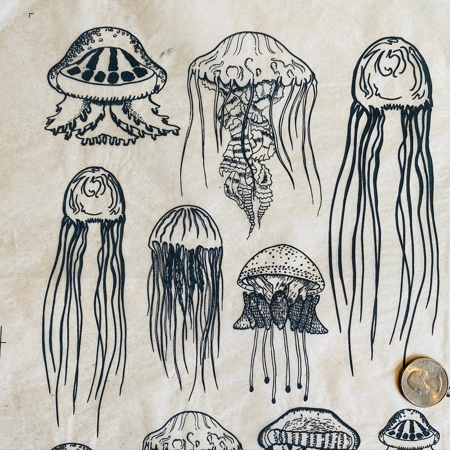 Jellyfish - Underglaze Transfer Sheet