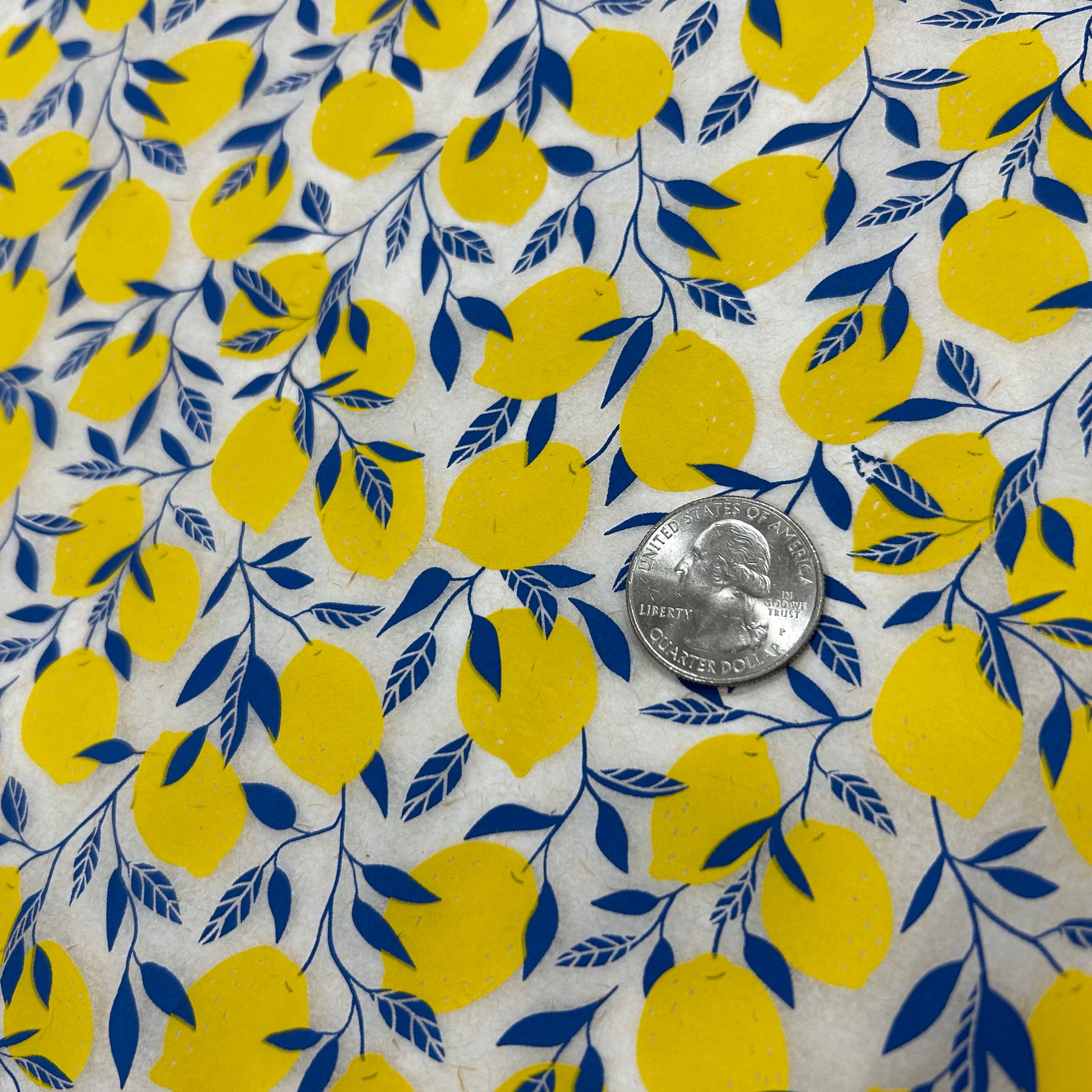 Lemons - Underglaze Transfer Sheet